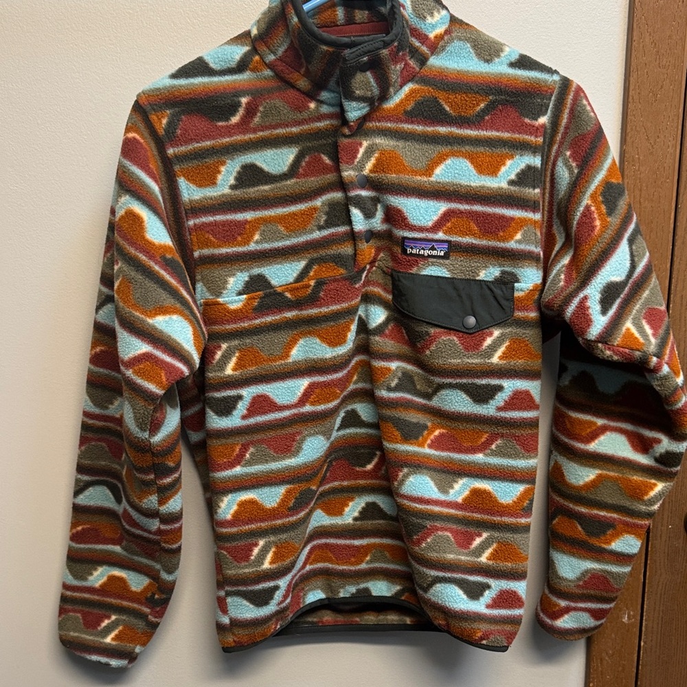 Patagonia Striped Fleece Pullover in Earth Tones